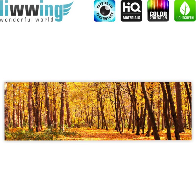 liwwing r marken leinwandbild autumn forest panorama herbstblatter wald baume baum forest herbst